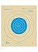 Official NRA B-16 Bullseye Targets (100 Pack) - 25 Yard Slow Fire Archery & Shooting Targets